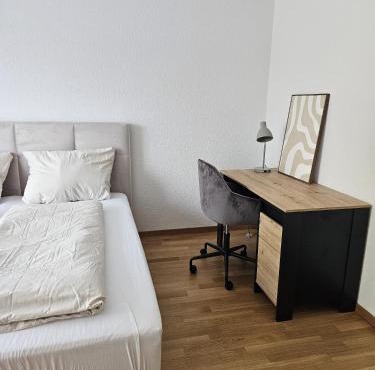Apartment 2 Hügelruhe Mandach - 25 m2 - 1 Schlafzimmer - Ferien - Business