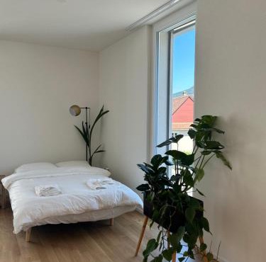 The R Apartment Passwang, Balkon, Kostenloses Indoor-Parking