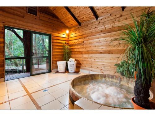 The Mouses Rainforest Retreat 